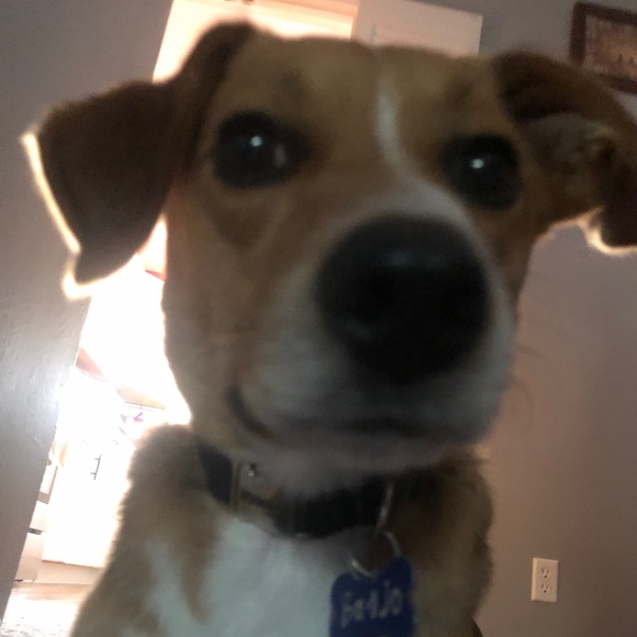 Meet your Posher, Khai - Picture 1 of 1